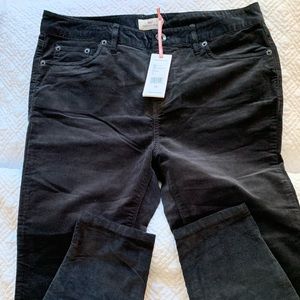 Vineyard Vines High Rise Corduroy Pant Size 10